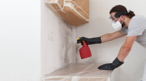 Professional Bathroom Mold Removal technician working in Poquoson, VA