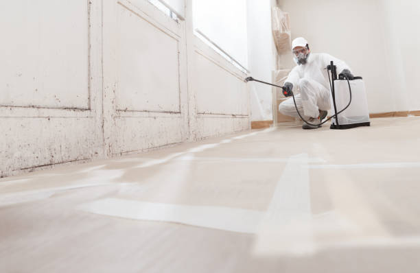 24/7 Emergency Bathroom Mold Removal experts in Poquoson, VA