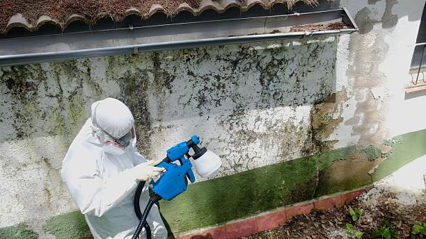 Top rated local Bathroom Mold Removal specialists in Poquoson, VA